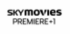 Sky Movies Premiere +1 2007.png