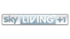 Sky Living +1 2013.png
