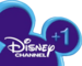 Disney Channel +1 2003.png