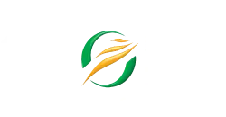 File:SABC sport main logo.png
