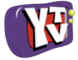 YTV 1995.png