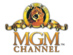 MGM Channel.png