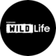 Samsung Wild Life (SamsungTV+).png