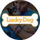 Lucky Dog (SamsungTV+).png