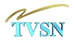 TVSN 1995.png