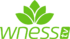 WNESSTV HD