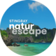 Stingray Naturescape (SamsungTV+).png